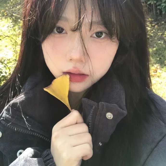 九里香
